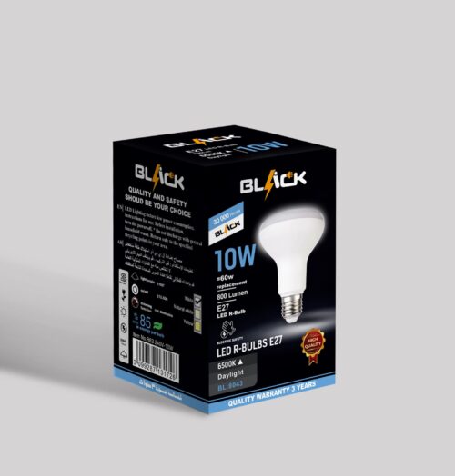 LED 10 WATT (Day Light)