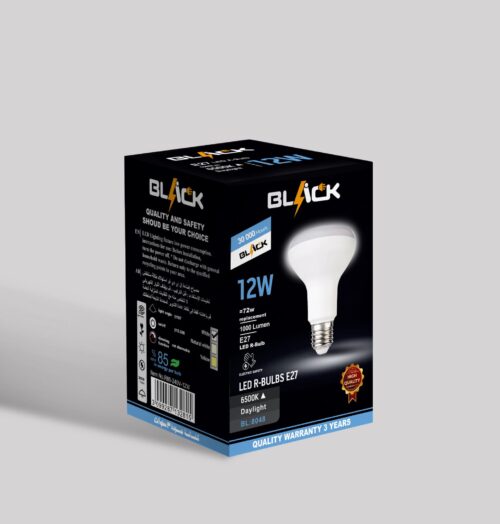 LED 12 WATT (Day Light)